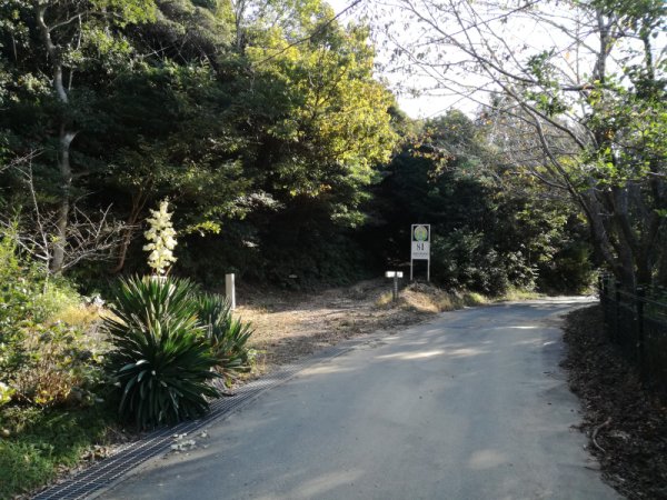 梅田登山口